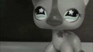 LPS  Kiss It Better   Music Video by LPSToriandTeri