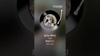 꿈꾸는 백마강 김종철 노래 2025.06.21