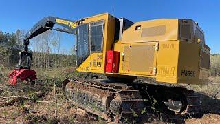 Current state of forestry logging 2022 | what does the future hold?