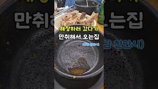 [대전근교맛집]해장하러 갔다가 만취해서 오는집