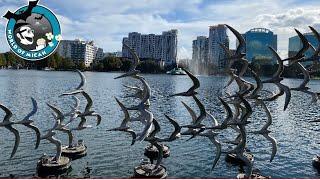 LAKE EOLA PARK | DOWNTOWN ORLANDO | Full Tour, Walt Disney Amphitheater, Swan Boats & More!