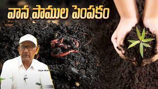 వాన పాముల పెంపకం | Benefits of Vermicompost in telugu | Natural Farming Ideas | Eagle Media Works