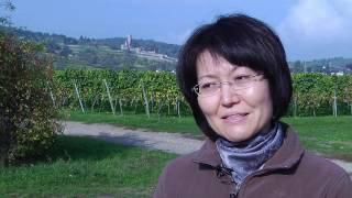 Genuss: Weingut Josef Biffar in Deidesheim | Fumiko Tokuoka