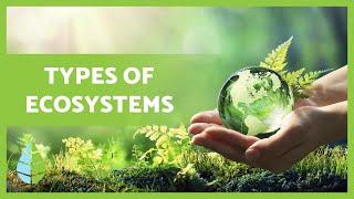 TYPES of ECOSYSTEMS and their DEFINITION ️️