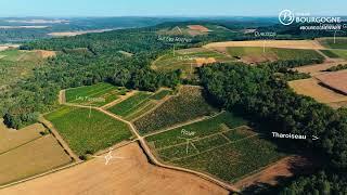 A general overview of the Vézelay appellation