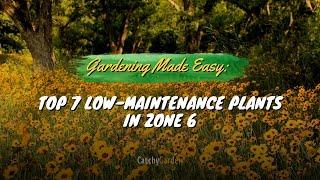 Gardening Made Easy: Top 7 Picks for Low Maintenance Plants in Zone 6 