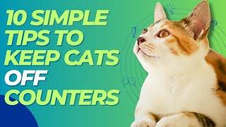  10 Simple Tips To Keep Cats Off Counters 