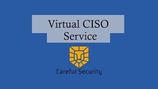 Virtual CISO Services: Guide to vCISO Services