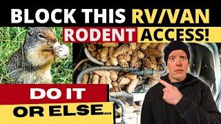 How to Deter Mice and Rodents From Getting in RV, Camper Van, Skoolie, Car Engine | #vanlife