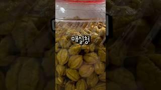 지금 놓치면 1년을 기다려야 합니다! 10년째 실패없이 담그는 매실청 비법 매실액기스 #shorts