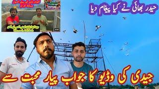 jaidi ki video ka jawab || khokhar pigeons club || jaidi pigeons club || kabootar lovers