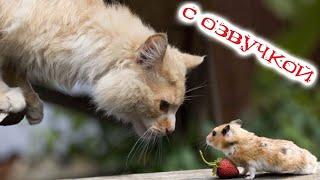 Funny Animal Videos 2023 - Funniest Dogs and Cats Videos #139