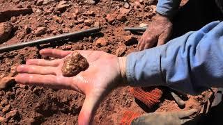 Beautiful 5 ounce gold nugget, Minelab GPZ 7000 Metal Detector Prospecting Western Australia