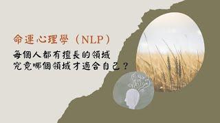 【命運心理學（NLP）】每個人都有擅長的領域，究竟哪個領域才適合自己？