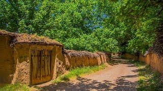 Iran village life - The green alleys of the village with traditional Persian music