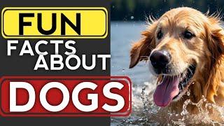 Some "FUN" Facts About Dogs 