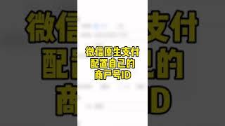 微信原生支付配置自己的商户号ID，轻栈教程