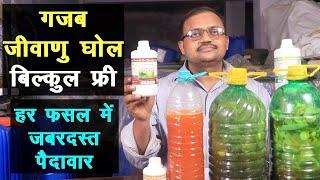 फ्री का ये जीवाणु घोल फसलों की जबरदस्त पैदावार बढ़ाता है || Organic Farming Bio Enzymes ||