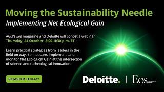 Net Ecological Gain: Improving Ecosystem Conservation Efforts