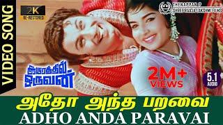 Adho Andha Paravai 2K Video Song | RE-Restored 2K TRUE 5.1 AUDIO | MGR | Jayalalitha