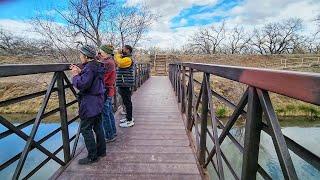 Largest Cottonwood Forest in the World through Albuquerque | Rio Grande Nature Center & Bosque Hike