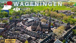 Wageningen  Drone Video | 4K UHD