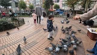 Walking from the Bull Statue in Kadıköy to Moda Beach || İstanbul ||