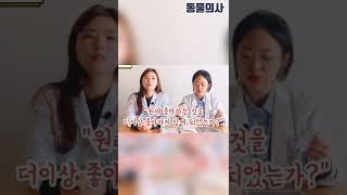 안락사를 고민 중이신가요? | 동물의사 Animal Doctor #반려견안락사 #반려묘안락사