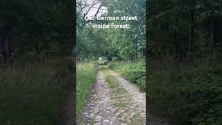 Old German street inside forest #old #german #history #nature #hiking #outdoor #explore #discover