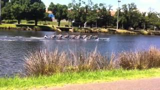 Head of the Yarra 2015 - Melbourne Rowing Club ManSquad Start (MC8+)