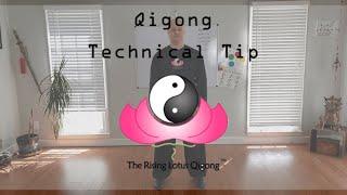 Qigong Technical Tip -  Opening the Mingmen