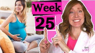 25 Weeks Pregnant and What to Expect | 25 Weeks Pregnant in Months Plus 25 week ultrasound.