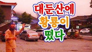 [유교약사생불사 1532강] 대둔산에 황룡이 떴다.