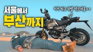 서울에서 부산까지 왕복 1,000km... 단돈 2만원으로 퉁치는 최저가 여행