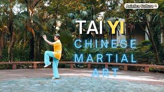 Taiyi 5 Elements: The Ultimate Workout for Health and Enlightenment