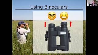 Bird Identification for Beginners