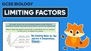 Photosynthesis Limiting Factors - GCSE Biology