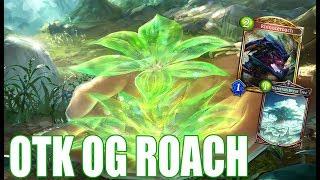【SHADOWVERSE】 - Old Roach is still strong as ever! - Old OTK Roach (Unlimited)