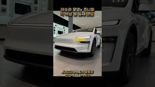 테슬라 모델Y 주니퍼 각 색상별 실제 느낌