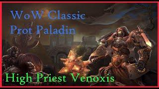 Prot Paladin Tank vs High Priest Venoxis