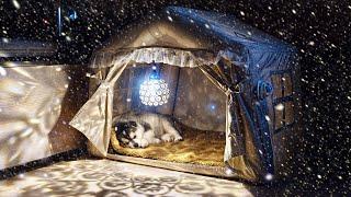 Winter Snow Camping in Inflatable Tent Trailer with Husky Puppy