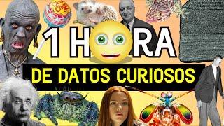 ¡1 HORA De PUROS DATOS CURIOSOS! ⏰ | Zarpado