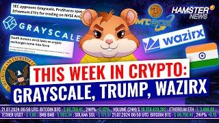 Grayscale ETF, South Korea Crypto Laws, Trump’s Plans ️ Hamster News Weekly