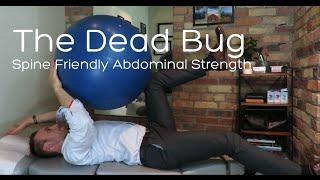 Dead Bug | Lower Abdominal Strength |  Dr Alex Ritza | Downtown Toronto Chiropractor