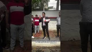 How to Export pomegranate, Import Export Business, Export import Practical Training