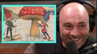 Joe Rogan - Santa Claus Was a Mushroom!