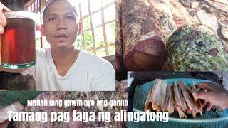 Joebert asor | tamang pag laga ng alingatong | Red Alingatong Roots