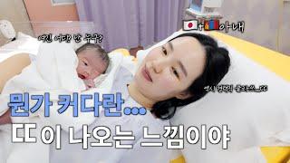 뭐 먹고 싶어? "돈까스 샌드위치" (feat.3회차 경력직 바이브...)