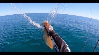 Squidding in Geographe Bay and arguably my best ever calamari cookup Squid vid 25