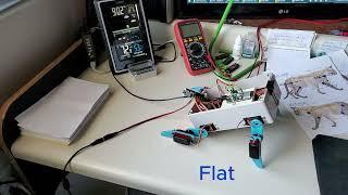 Quadraped Robot (Eventually a Cat)